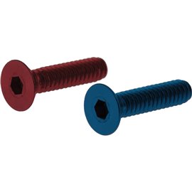 DELTA RP12490 D-SCREWS-(PAIR-RED/ BLUE) 