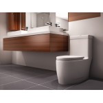 Neptune ZEN-FB1699 ZEN TOILET WHITE