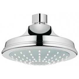 GROHE 28737 Euphoria Rustic Shower head