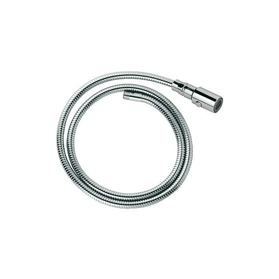 GROHE 46592 Ladylux Pro Hose and Head