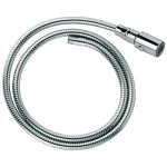 GROHE 46592 Ladylux Pro Hose and Head