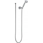 Brizo VESI RP41202 Wall-Mount Hand Shower