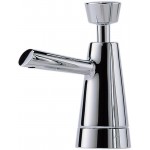 Brizo VENUTO RP42878 SoapLotion Dispenser