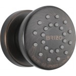 Brizo 84110 Touch-CleanR Body Spray Trim and Rough