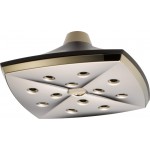 Brizo CHARLOTTE 81385 Ceiling Mount Raincan