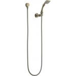 Brizo CHARLOTTE 85885 Wall-Mount Handshower