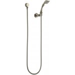 Brizo CHARLOTTE 85885 Wall-Mount Handshower