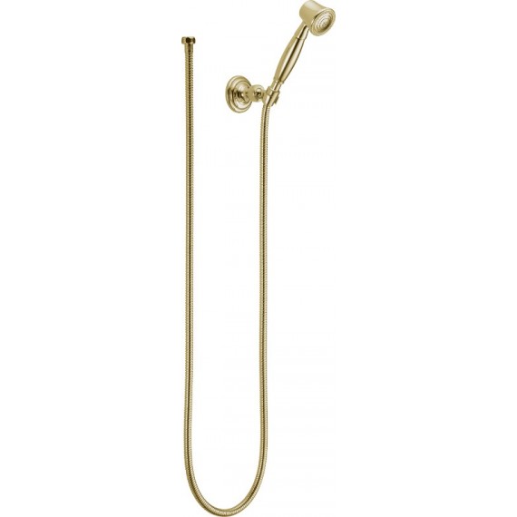 Brizo VESI RP41202 Wall-Mount Hand Shower