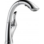 DELTA LINDEN 4153-DST SINGLE HANDLE KITCHEN FAUCET W 