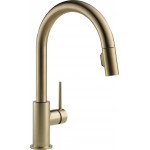 Delta 9159-DST Single Handle Pull-Down Kitchen Faucet