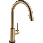 Delta 9159T-DST Single Handle Pull-Down Kitchen Faucet Featuring Touch2OR Technology