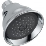 Delta RP41589 Touch-CleanR Shower Head