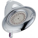 Delta RP34355 Touch-CleanR 3-Setting Shower Head