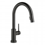 Delta 9159-DST Single Handle Pull-Down Kitchen Faucet