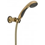 DELTA 55013 Wall Mount Handshower 