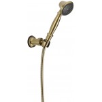 DELTA 55020 Wall Mount Handshower 