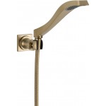 DELTA DRYDEN 55051 Wall Mount Handshower 