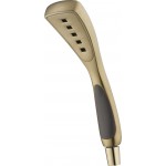 Delta 59411 Hand Shower