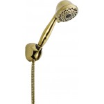 Delta 59710 Fixed Wall Mount Hand Shower