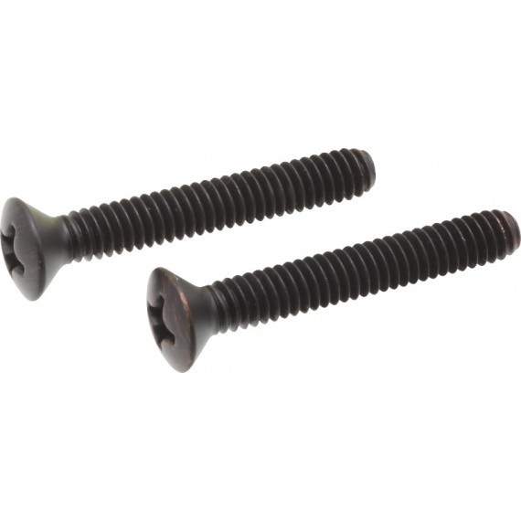 Delta RP6404 Overflow Plate Screws