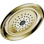 Delta RP48686 Single-Setting Shower Head