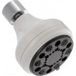 DELTA 52665-20-PK 4-SETTING SHOWER HEAD 