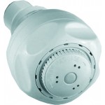 DELTA 52692-15-BG WATER EFFICIENT SHOWER HEAD 