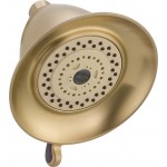 Delta RP34355 Touch-CleanR 3-Setting Shower Head