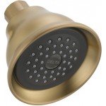 Delta RP41589 Touch-CleanR Shower Head