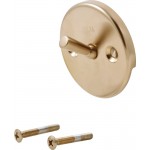 DELTA RP31555 Overflow Plate And Screws 