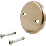 Delta RP31556 Overflow Plate and Screws