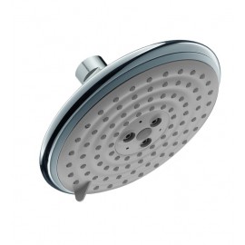 Hansgrohe 27483-1 Raindance Showerhead 6