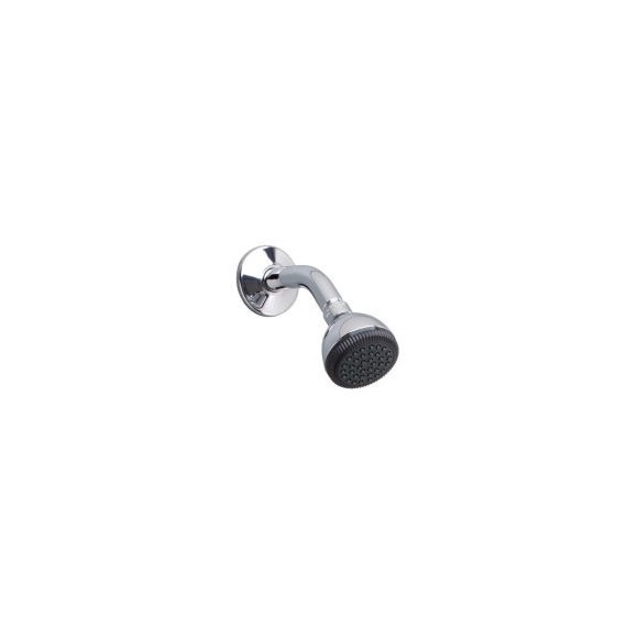 American Standard Shwrhd Shwr Arm And Flange - 8888075