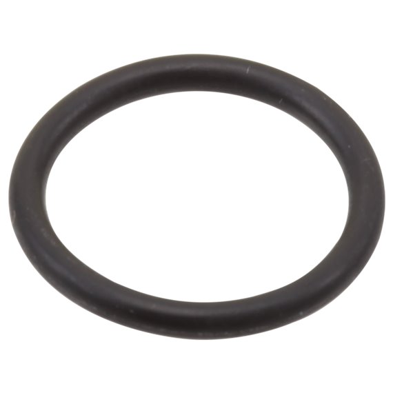 Brizo RP31689 B - O-RINGS