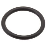 Brizo RP31689 B - O-RINGS
