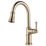 Brizo ARTESSO 63025LF Single Handle Pull-Down Kitchen Faucet