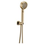 BRIZO LEVOIR 88898 WALL MOUNT HANDSHOWER WITH H20KINETIC TECHNOLOGY 