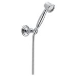 Brizo VESI RP41202 Wall-Mount Hand Shower