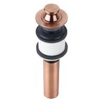 Franke TDL-15BC 1 12 lift & turn waste fitting Black copper