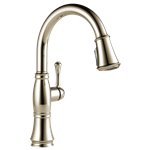 Delta 9197-DST Single Handle Pull Down Kitchen Faucet