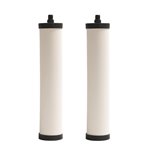 Franke FRC06-2PK FILTER - CHLORINE, TASTE & ODOR - 2PK