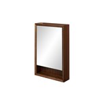 Fairmont Designs M4 20" Medicine Cabinet - right - Natural Walnut