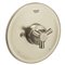 Grohe 19311 Arden Pbv Trimset Shower Us