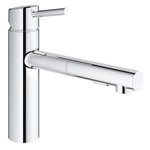 Grohe 31453 Concetto Ohm Sink Pull-Out Spray, Us