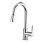 BLANCO SONOMA, CHROME