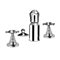 AQUADESIGN DISEGNO™ QUEEN BIDET R4275X