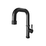 AQUADESIGN DISEGNO™ RAW KITCHEN FAUCET 400686