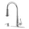 Pfister Ashfield 1-Handle Pull-Down Kitchen Faucet with Soap Dispenser 