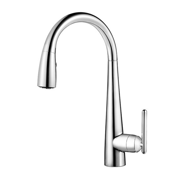 Lita 1-Handle Pull-Down Kitchen Faucet 