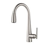 Lita 1-Handle Pull-Down Kitchen Faucet 